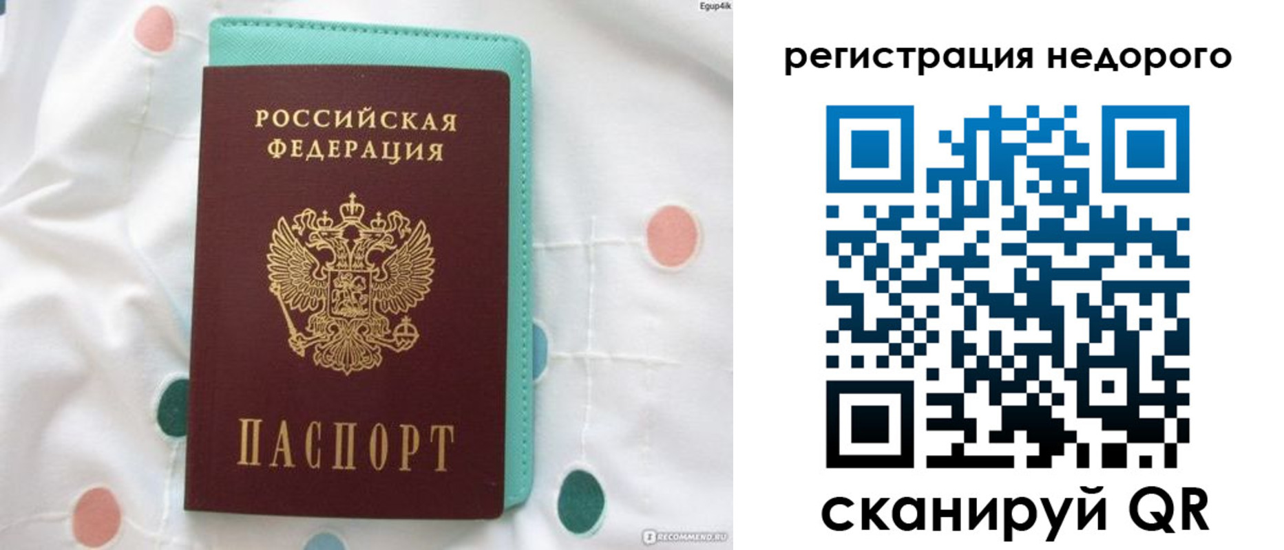 прописка для школы в Коле